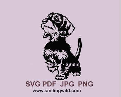 Wire Haired Dachshund svg vector graphic file, dog svg clip art