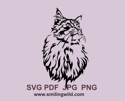 Maine Coon Katze SVG-Porträt, Katze schneidbare Vektor-Grafik-Clipart