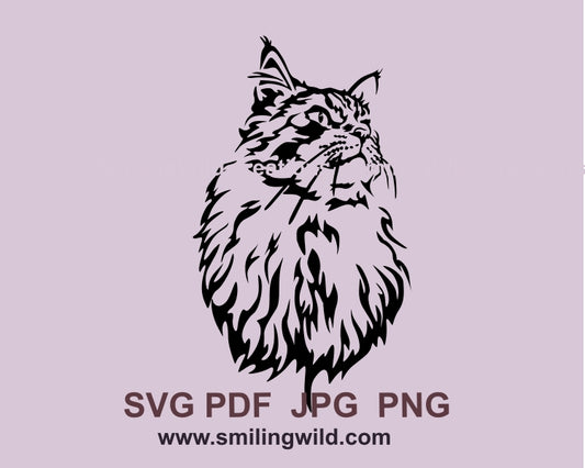 Maine coon cat svg portrait, cat cuttable vector graphic clip art