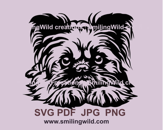 Brüsseler Griffon SVG digitale ClipArt Vektordatei