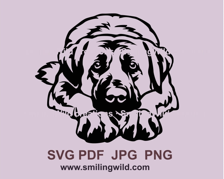 Kangal SVG Vektorgrafik, Anatolischer Schäferhund SVG Clip Art Portrait