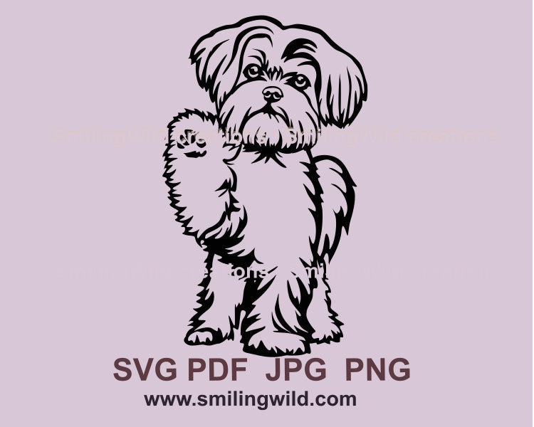 Maltese svg vector clip art file, dog svg