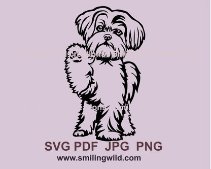 Maltese svg vector clip art file, dog svg