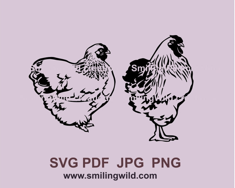 Columbian Wyandotte Bantams svg vector clip art design