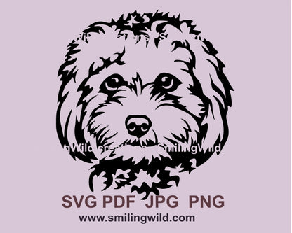 Cavapoo svg vector clip art digital design, dog svg digital art