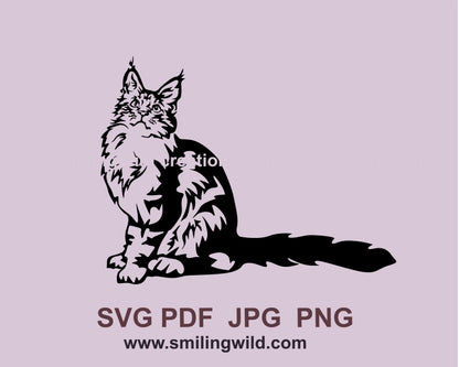 Maine Coon Katze Kätzchen SVG schneidbare Vektorgrafik ClipArt