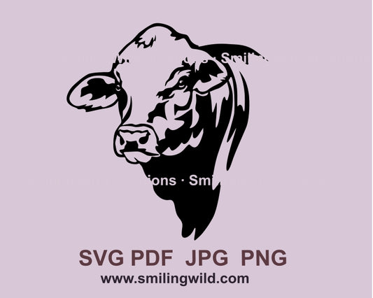 Beefmaster cattle svg vector design, bull cuttbale clip art file