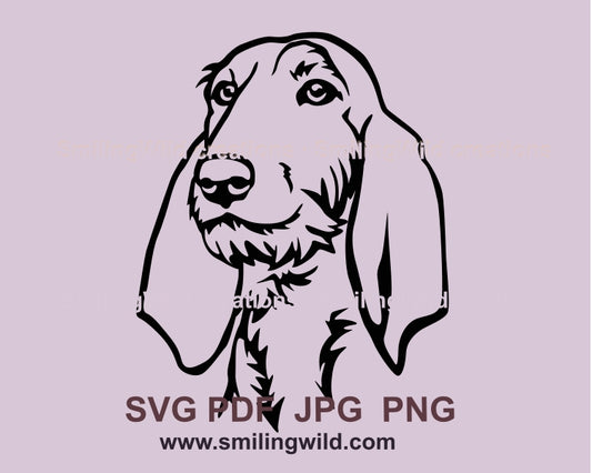 Wirehaired Segugio Italiano svg vector clip art