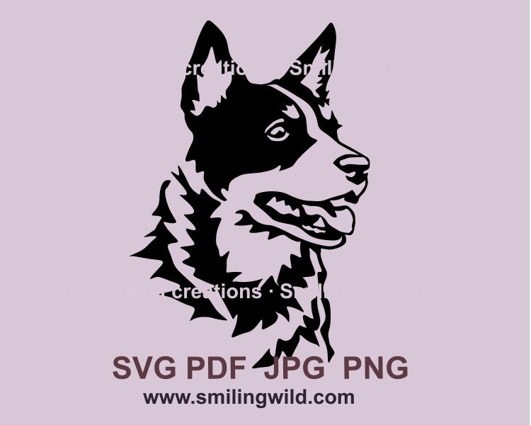 Australian cattle dog svg vector clip art portrait, blue heeler svg