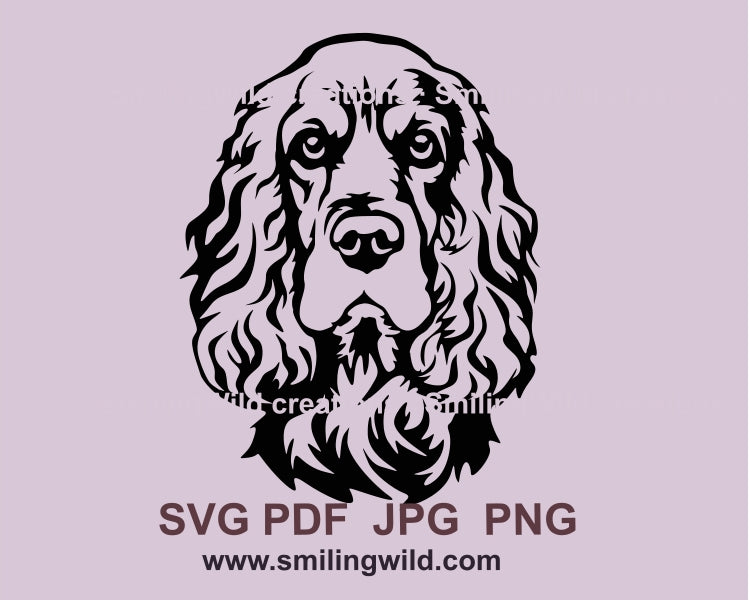 English cocker spaniel svg vector clip art portrait, dog svg