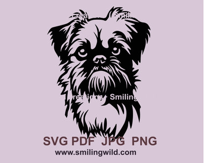 Brussels griffon svg vector graphic clip art design