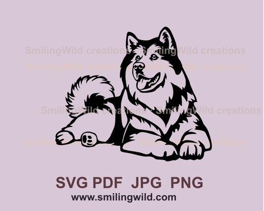 Alaskan malamute dog svg clip art portrait, Alaskan malamute vector graphic file