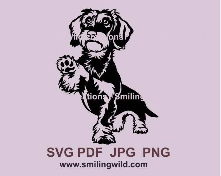 Wire Haired Dachshund svg clip art, dog vector graphic file (Copy)