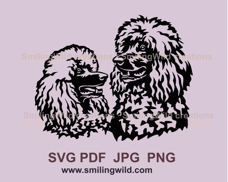 Poodle double portrait dog svg clip art double portrait, Poodle vector graphic file, dog double portrait