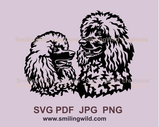 Pudel Doppelportrait Hund SVG Clip Art Doppelportrait, Pudel Vektor Grafikdatei, Hund Doppelportrait