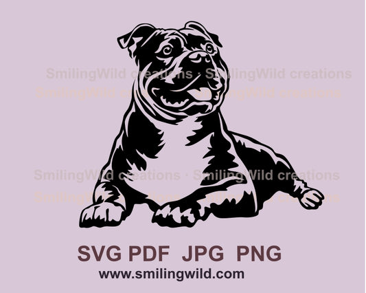 American bully svg dog vector graphic clip art, american bully digital vector graphic file