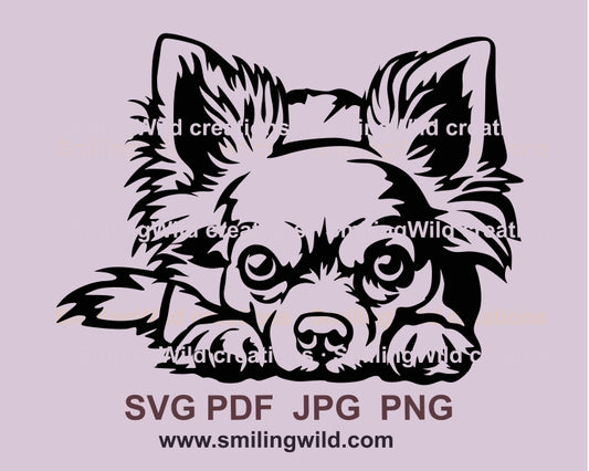 Liegender langhaariger Chihuahua Hund SVG Clip Art Portrait, Hund Vektor Grafikdatei