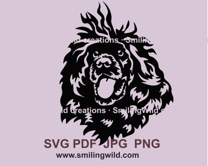 Portuguese water dog svg vector graphic clip ar