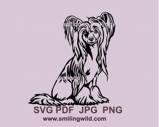 Chinesischer Schopfhund SVG Vektor Clip Art Design