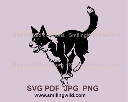 Smooth border collie svg clip art, running dog cuttable vector file