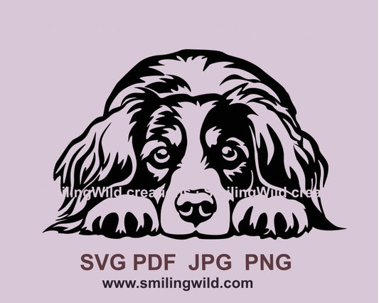 Kooikerhondje SVG ClipArt Gesicht Vektor Grafikdatei