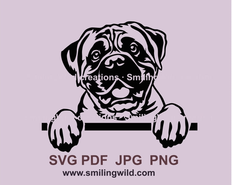 Bullmastiff svg clip art portrait, dog vector graphic file