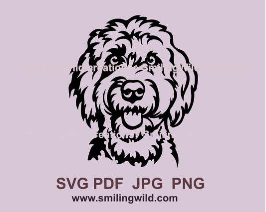 Goldendoodle svg vector portrait