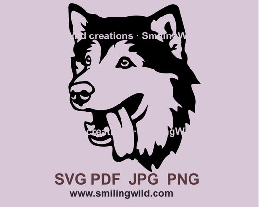 Malamute svg cuttable clip art design, dog vector graphic