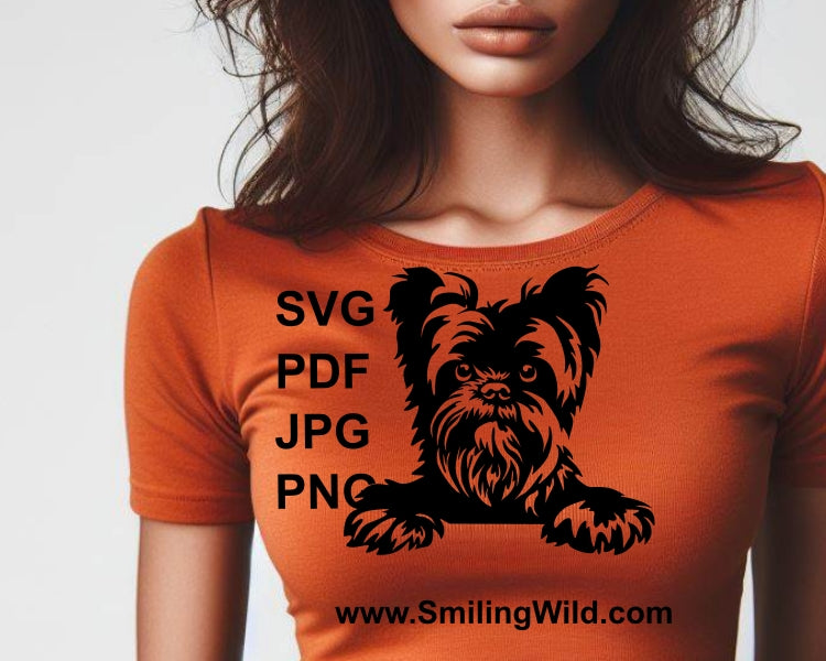 Affenpinscher svg dog vector graphic clip art, affenpinscher digital vector graphic file