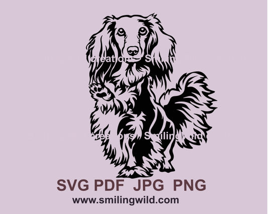 Long haired dachshund svg clip art