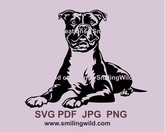 American pit bull terrier svg vector clip art