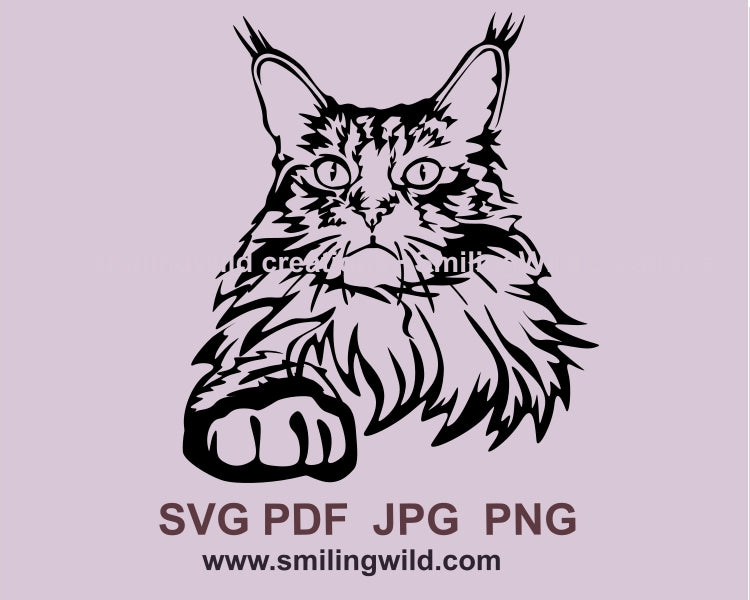 Maine Coon Katze SVG schneidbare Vektorgrafik ClipArt