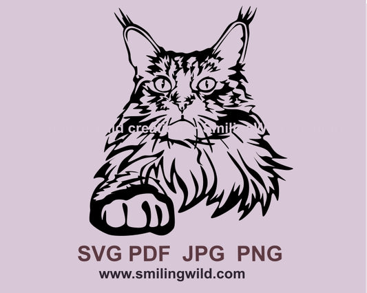 Maine coon cat svg cuttable vector graphic clip art