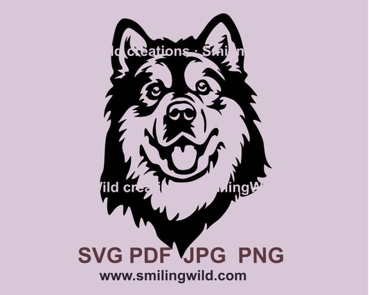 Malamute svg cuttable clip art face design, dog vector graphic