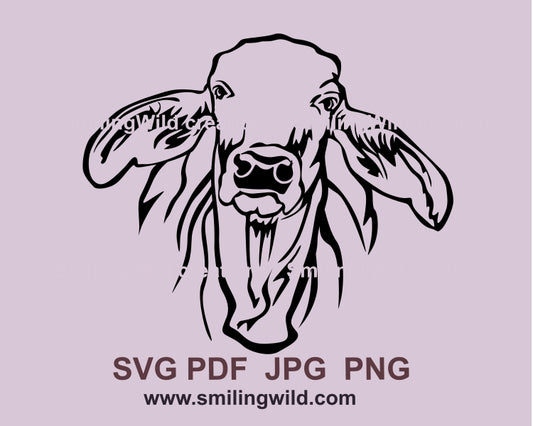 Brahman cattle svg cuttable clip art file, Brahman cow vector graphic design