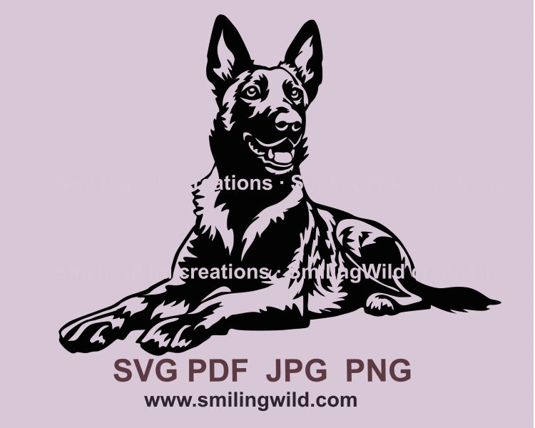 Dutch shepherd svg vector clip art