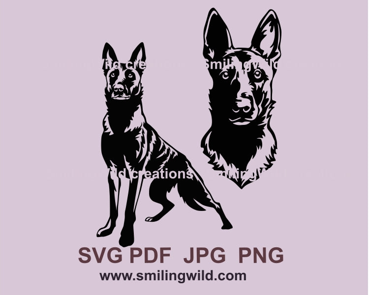 Dutch shepherd svg dog vector clip art