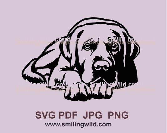 Labrador retriever svg clip art vector graphic cuttable file