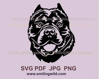 American bully svg portrait, dog vector graphic clip art, american bully digital vector graphic file