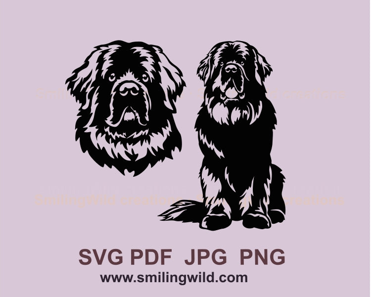 Newfoundland svg vector clip art portrait, dog svg