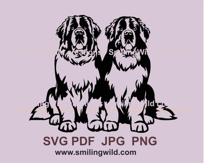 Saint Bernard dog svg clip art double portrait, Saint Bernard vector graphic file