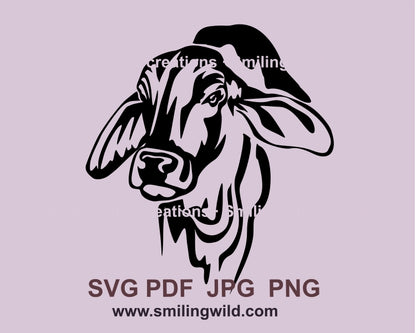 Brahman cattle svg clip art, Brahman cow vector graphic design