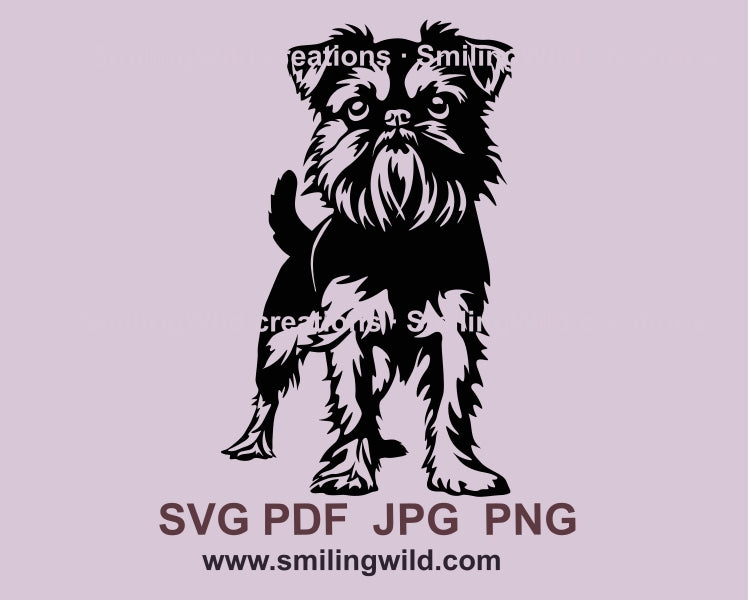 Brussels Griffon svg vector file , svg  cuttable clip art