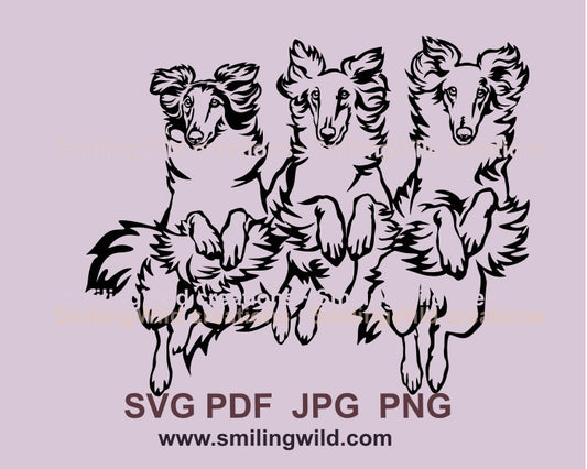 Borzoi dog svg vector clip art, three jumping agility borzi double portrait