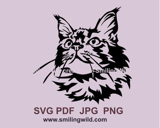 Maine Coon Katze SVG Clip Art Portrait, Katze schneidbare Vektorgrafik-Datei