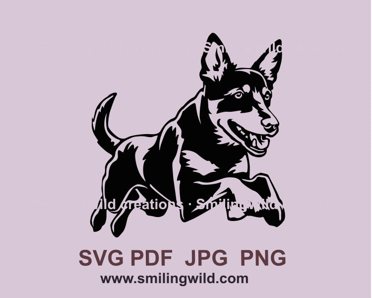 Springender australischer Kelpie SVG Hund ClipArt-Dateien, Hund Agilität Sprung Vektor Grafik digitales Design