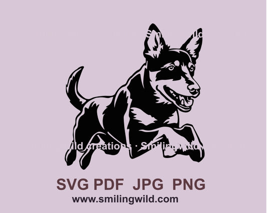 Jumping Australian kelpie svg dog clip art files, dog agility jump vector graphic digital design