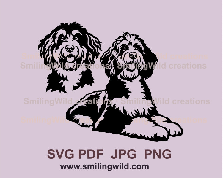 Bernedoodle svg dog vector graphic clip art, Bernedoodle dog digital v ...