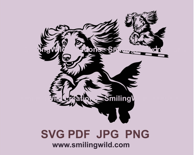 Long haired dachshund svg dog agility jump clip art design