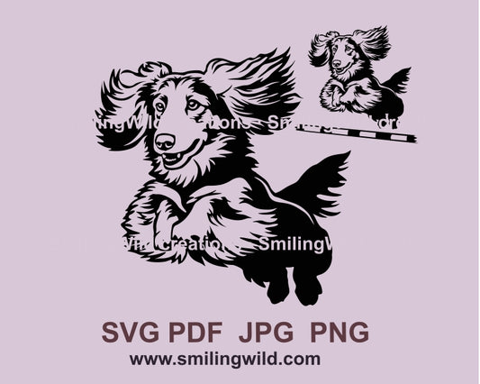 Langhaardackel SVG Hund Agility Sprung Clip Art Design